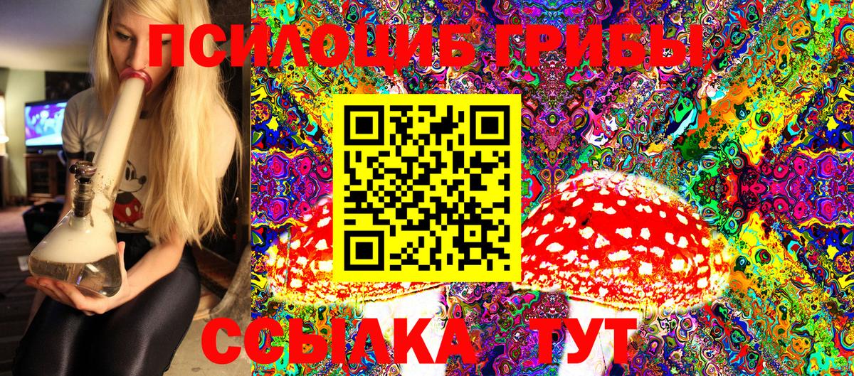 Озёры  Псилоцибиновые грибы MAGIC MUSHROOMS  Вход с VPN 